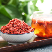 qixiang fábrica secada orgânica goji berris